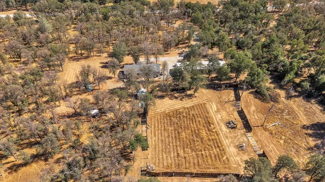 a view of dirt yard with trees