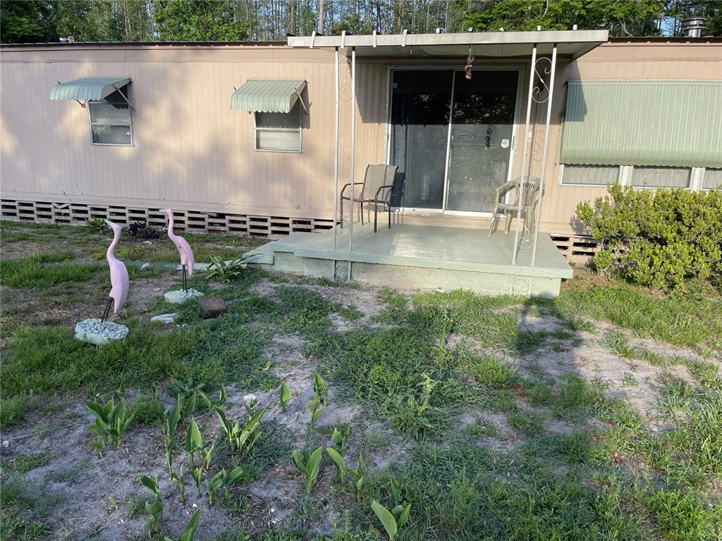 7438 St Johns Road Land O Lakes, FL 34638 - Photo 11 of 11