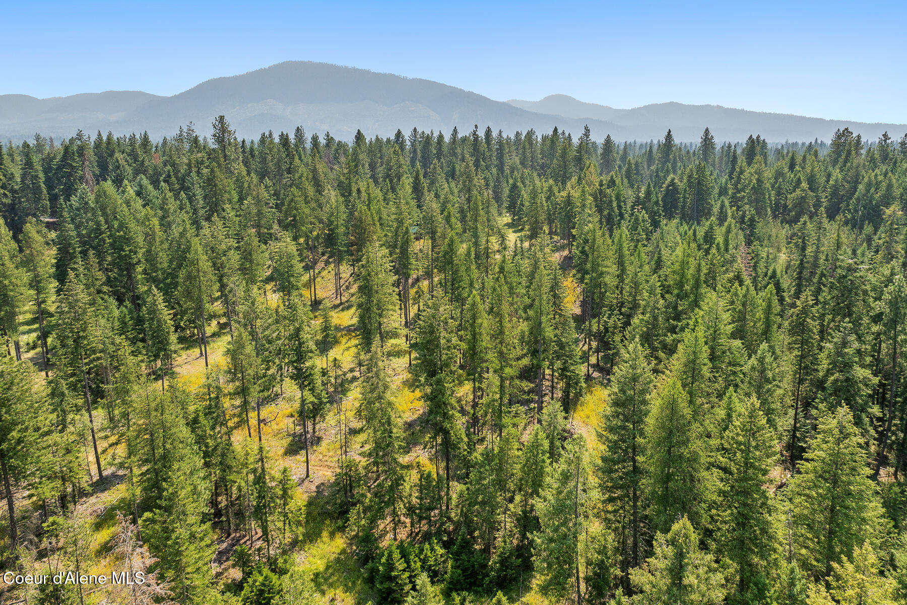 East Quarter Mile Road Athol, ID 83801 - Photo 10 of 18 Aerial_EQuarterMileRdLot-9