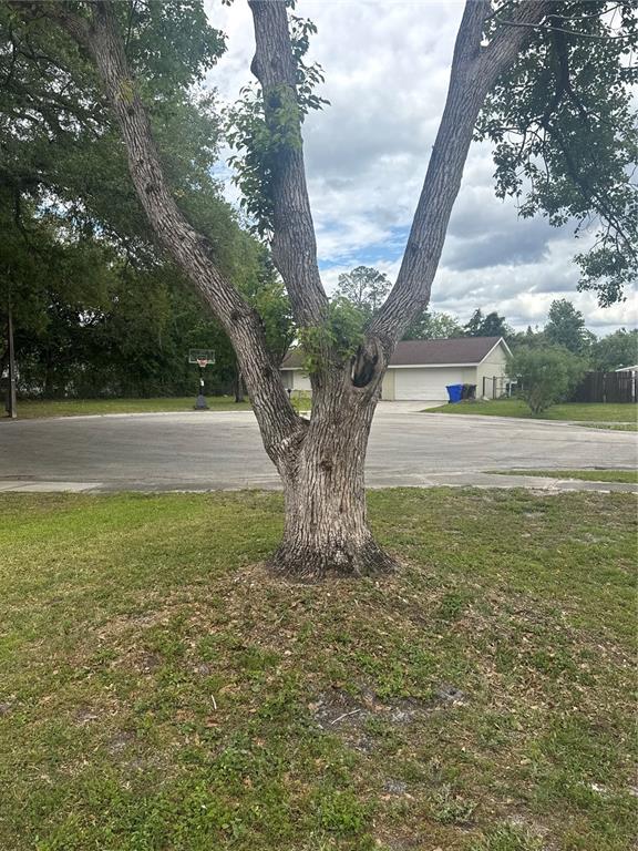 2329 Pine Tree Court Kissimmee, FL 34744 - Photo 4 of 38