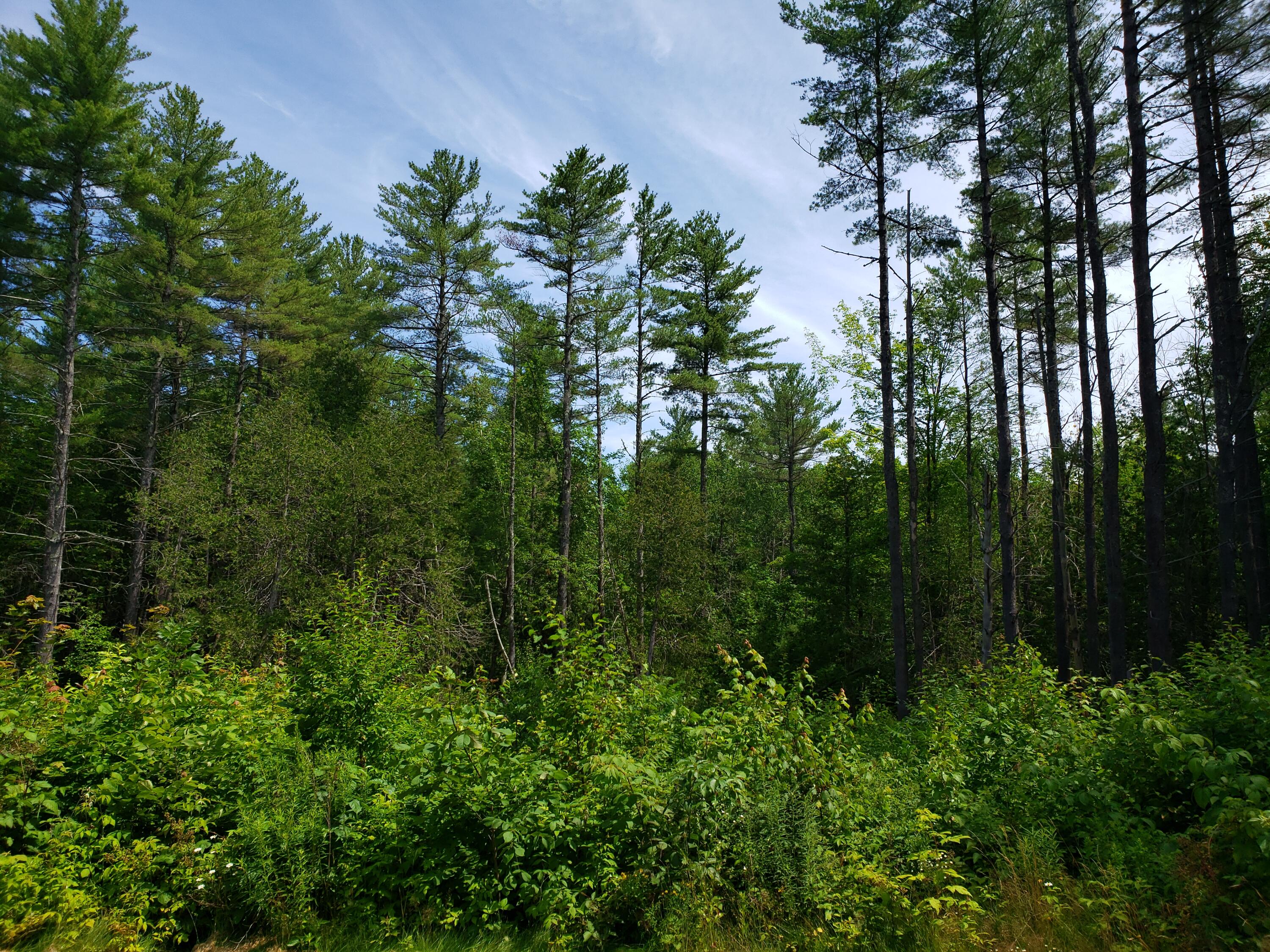 434 French Hill Road Solon, ME 04979 - Photo 11 of 52 20220716_112109