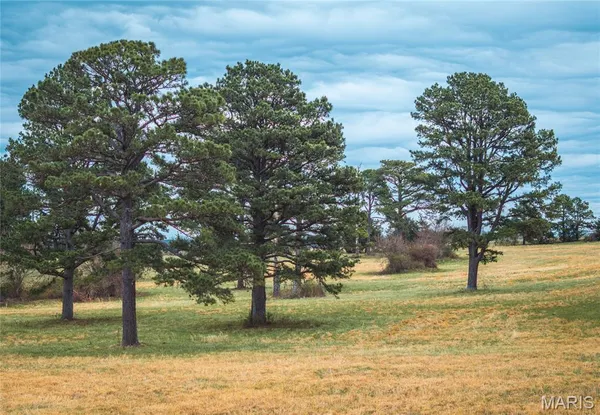 $225,000 | Tbd Dewitt Drive, Hartshorn, MO 65479