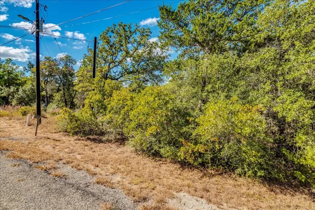 a view of a pathway with a tree