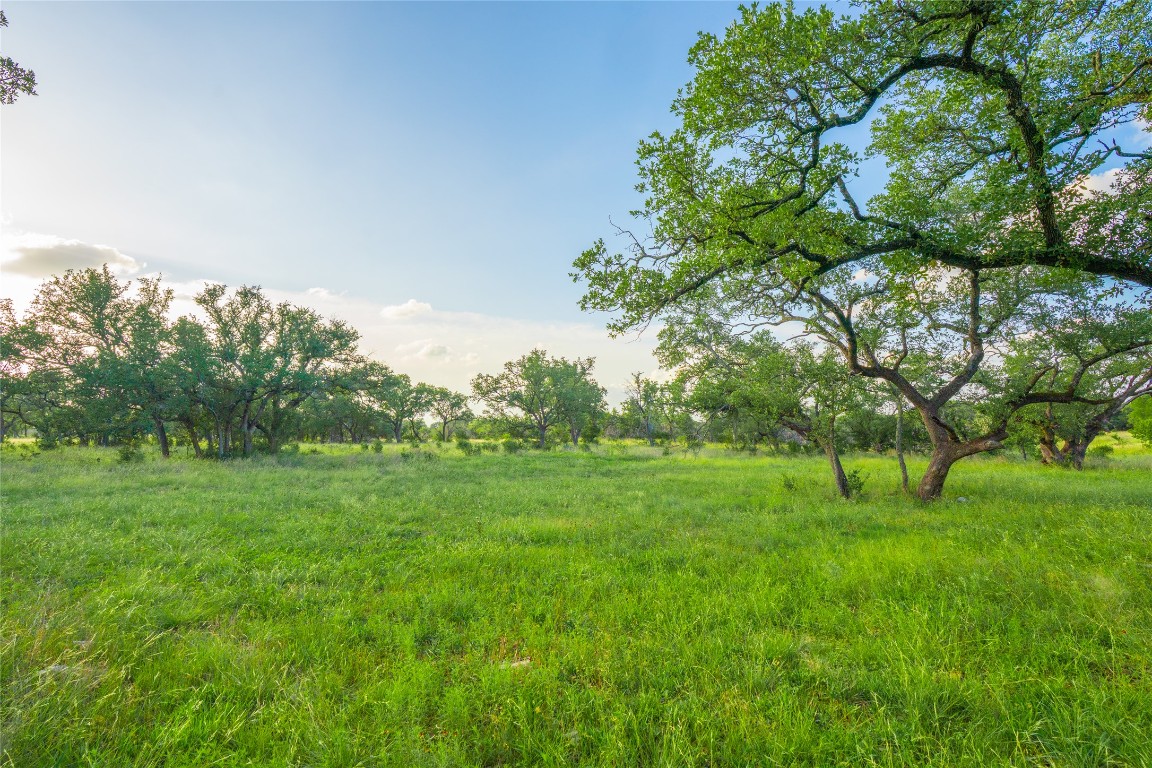 0 Longhorn Ridge Ranch Johnson City, TX 78636 - Photo 11 of 23 a view of garden view