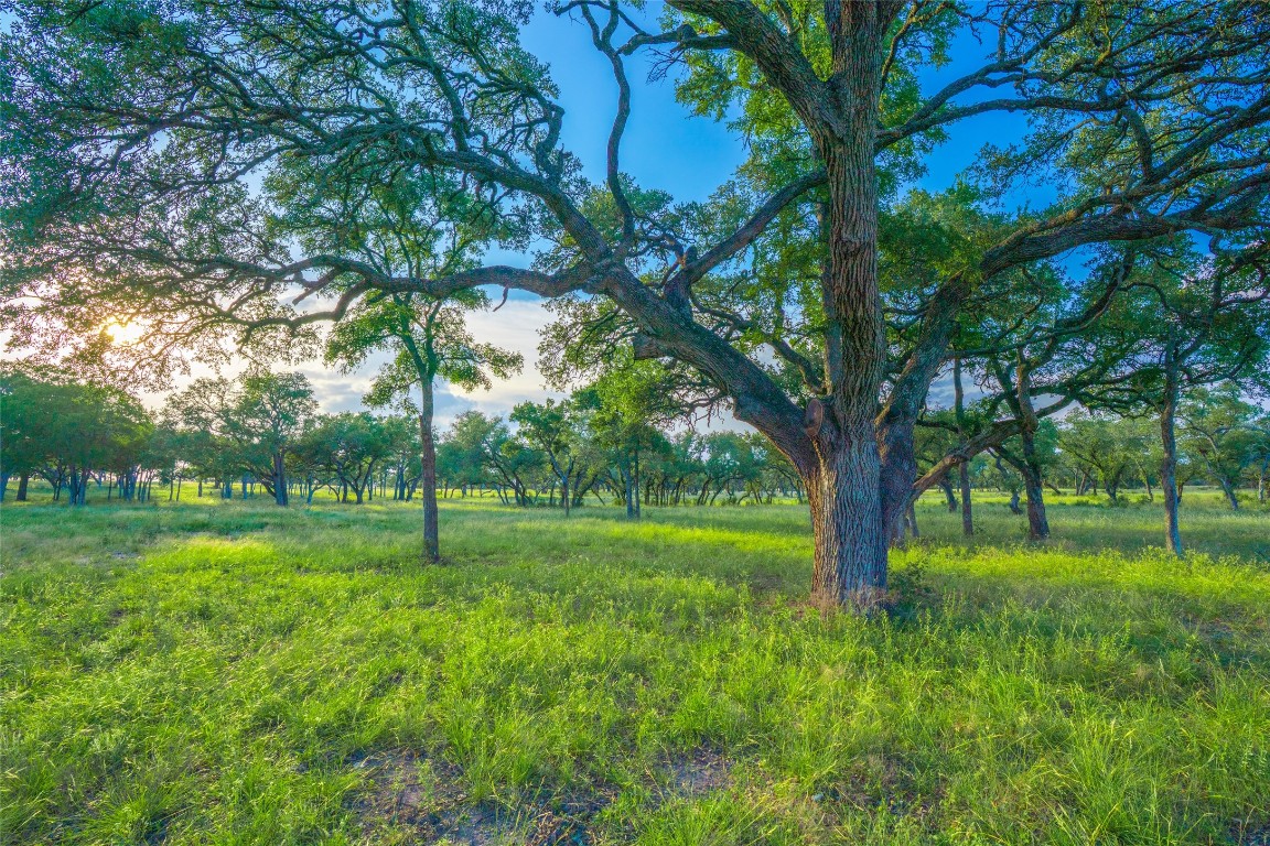 0 Longhorn Ridge Ranch Johnson City, TX 78636 - Photo 13 of 23 a view of an trees with a backyard