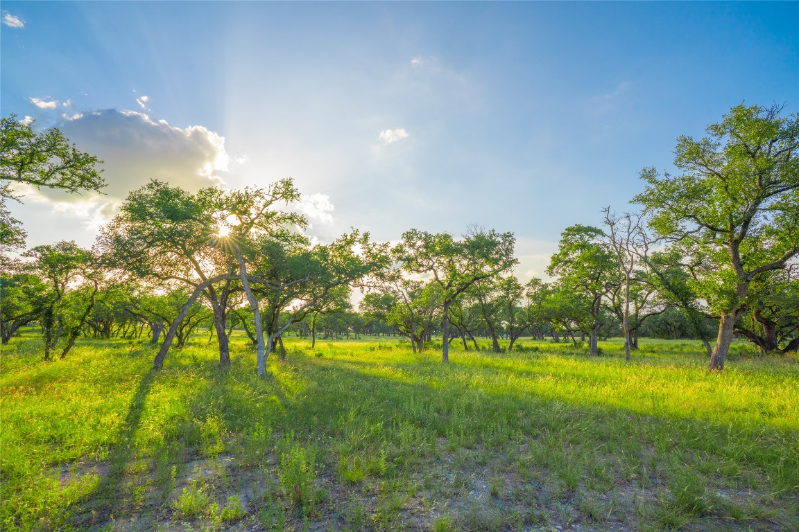 0 Longhorn Ridge Ranch Johnson City, TX 78636 - Photo 14 of 23 a view of yard with swimming pool and green space