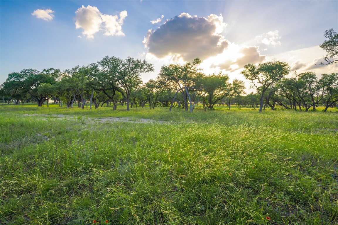 0 Longhorn Ridge Ranch Johnson City, TX 78636 - Photo 15 of 23 a view of a big yard with a large tree and a yard