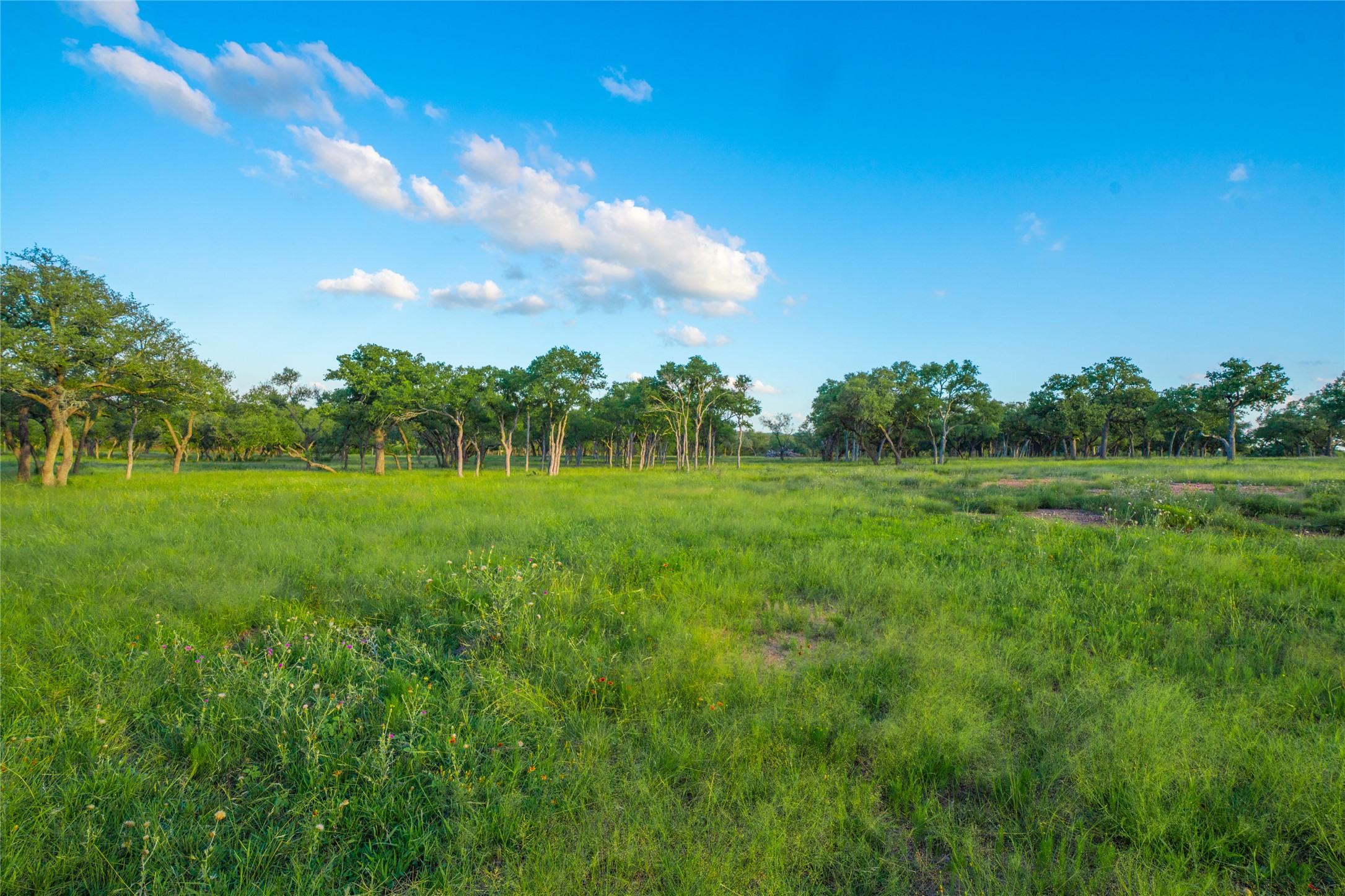 0 Twisted Vine Ranch Johnson City, TX 78636 - Photo 22 of 23 View of yard featuring a view of rural / pastoral area