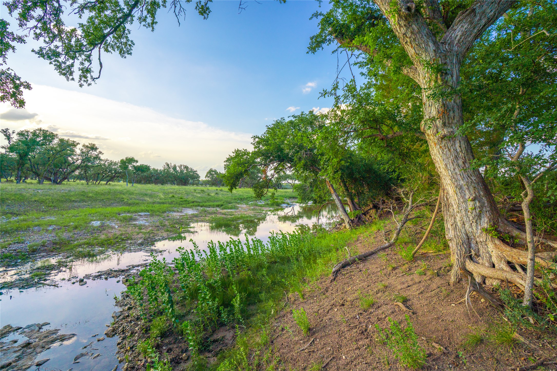 0 Twisted Vine Ranch Johnson City, TX 78636 - Photo 8 of 23 View of undeveloped land featuring a nearby body of water