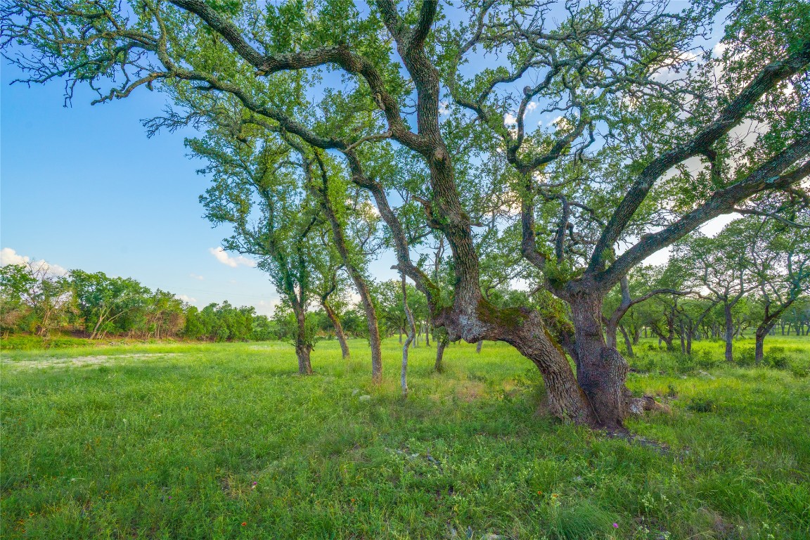0 Longhorn Ridge Ranch Johnson City, TX 78636 - Photo 9 of 23 a view of grassy field with benches