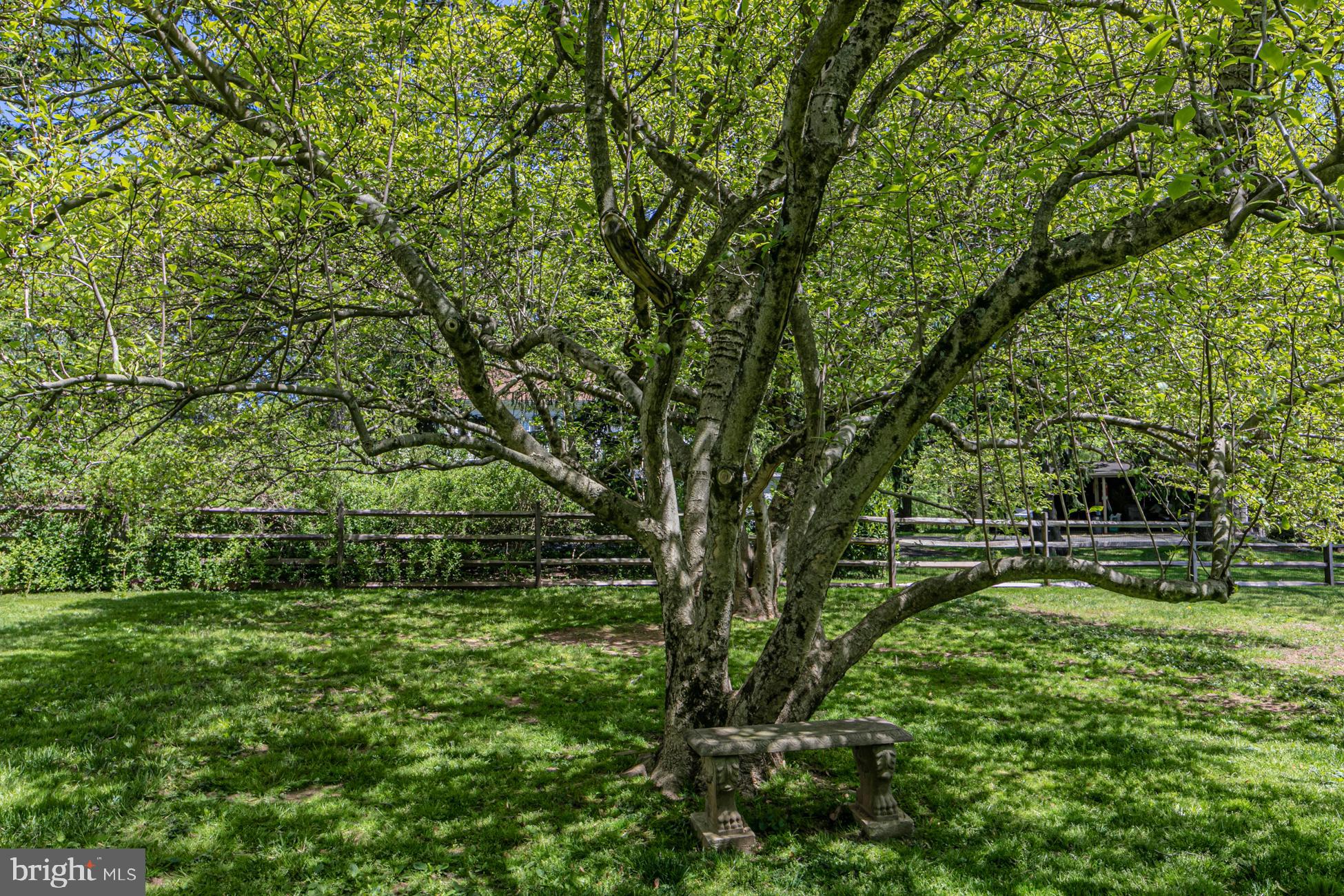 984 Mercer Road Princeton, NJ 08540 - Photo 41 of 44