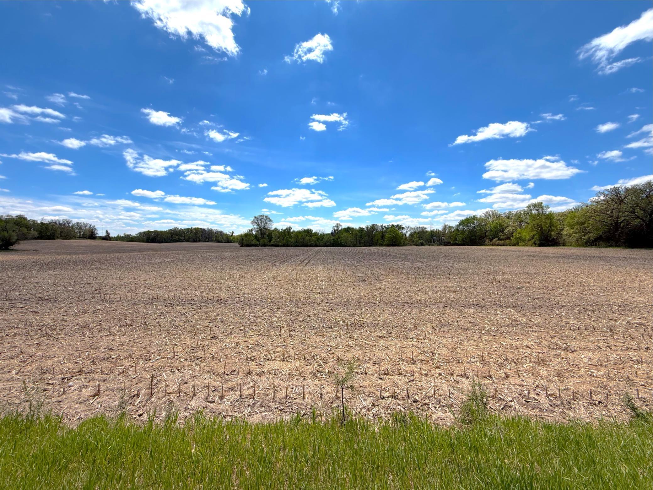 2124 X Franklin Road Clearwater, MN 55320 - Photo 8 of 14