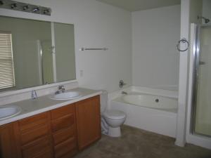 3264 South Chaparral Road Apache Junction, AZ 85119 - Photo 8 of 14 Master bath