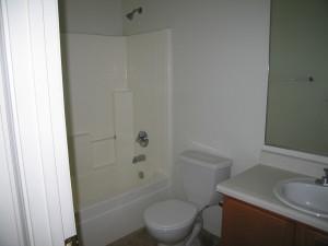 3264 South Chaparral Road Apache Junction, AZ 85119 - Photo 10 of 14 Guest bath