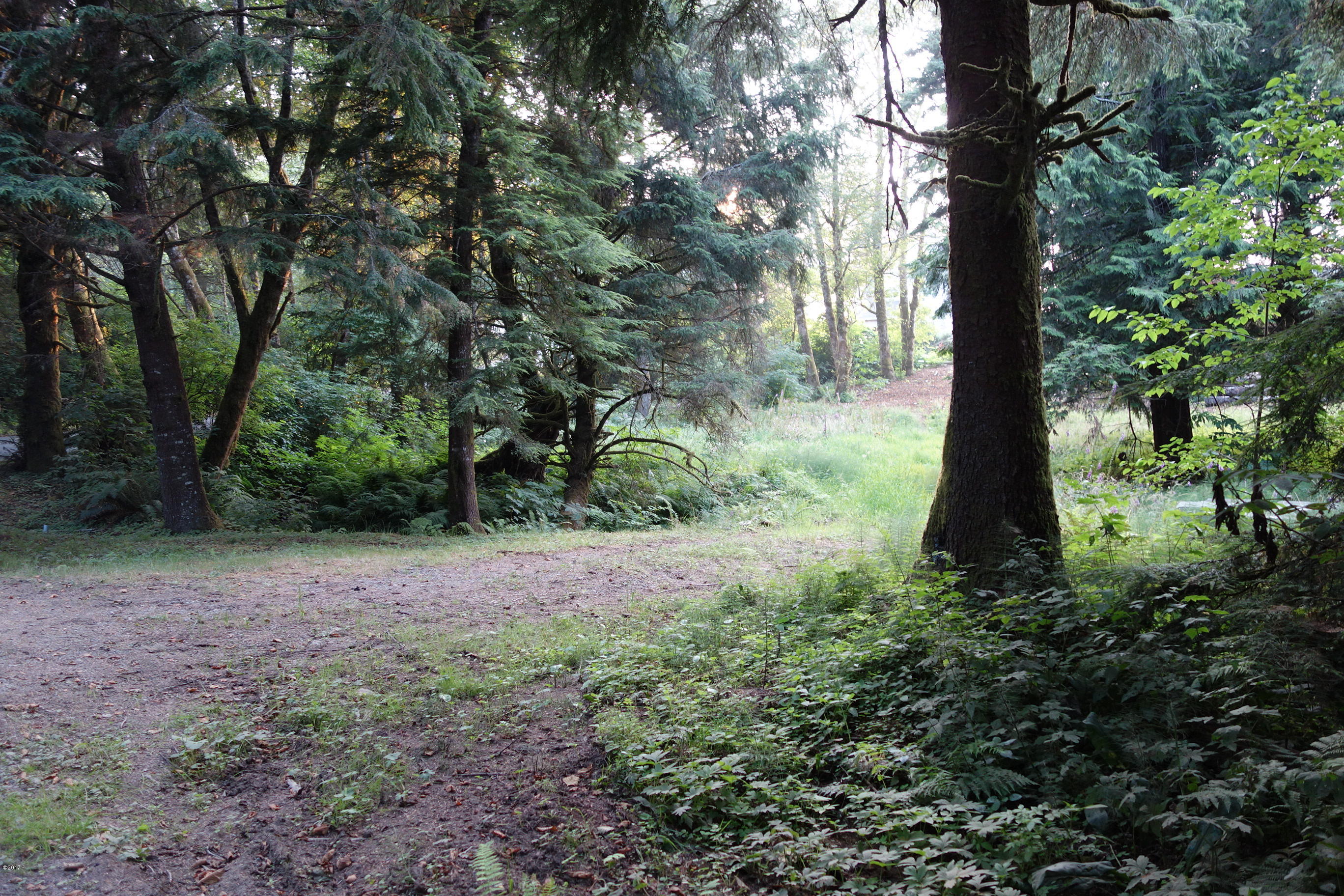 3501 South Beach Road Neskowin, OR 97149 - Photo 4 of 25 Ingress from South Beach Road