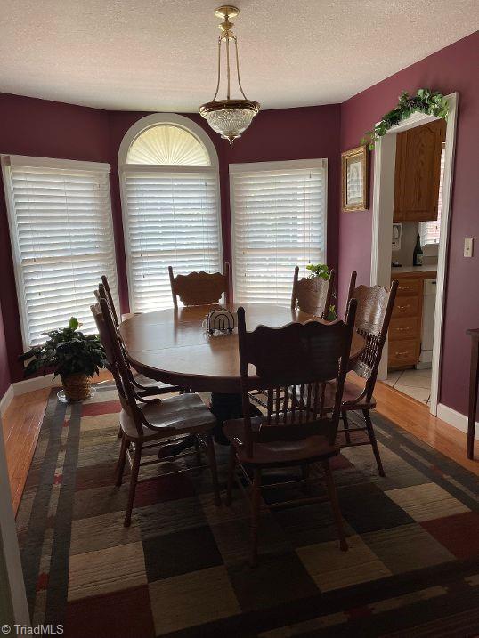 717 Adams Ridge Road State Road, NC 28676 - Photo 8 of 31 Gallery Image 8