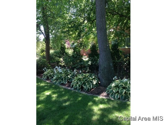 1301 Ravenswood Road Springfield, IL 62711 - Photo 24 of 24