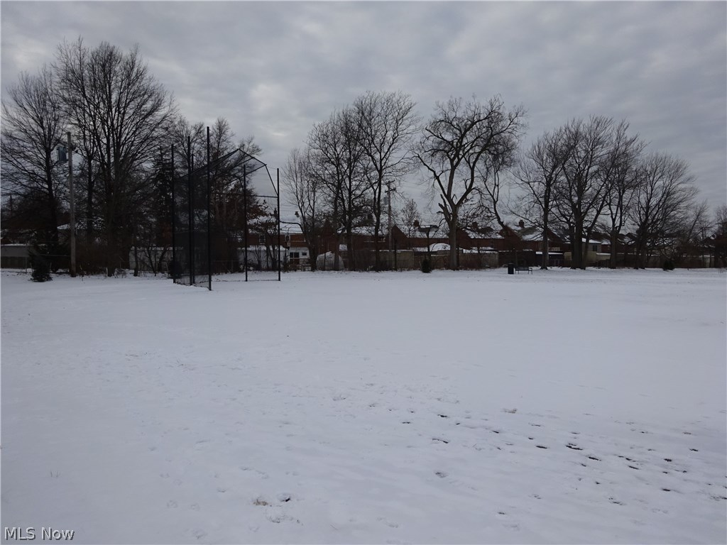 2288 Saybrook Road Cleveland, OH 44118 - Photo 31 of 31