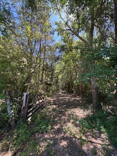 362 Freddie Whiddon Road Webb, AL 36376 - Photo 6 of 8