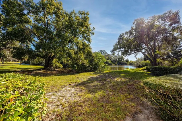 $1,795 | 209 Cypress Court, Unit 209, Oldsmar, FL 34677