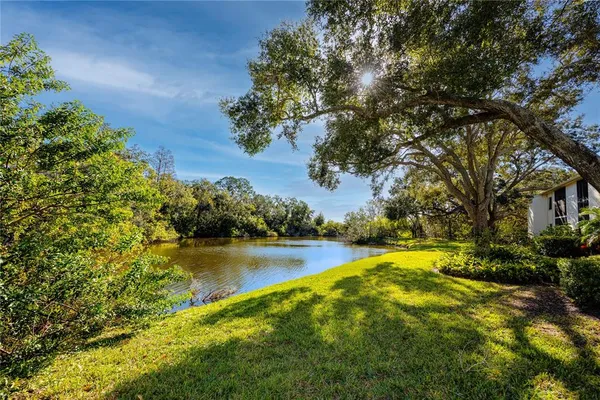$1,750 | 209 Cypress Court, Unit 209, Oldsmar, FL 34677