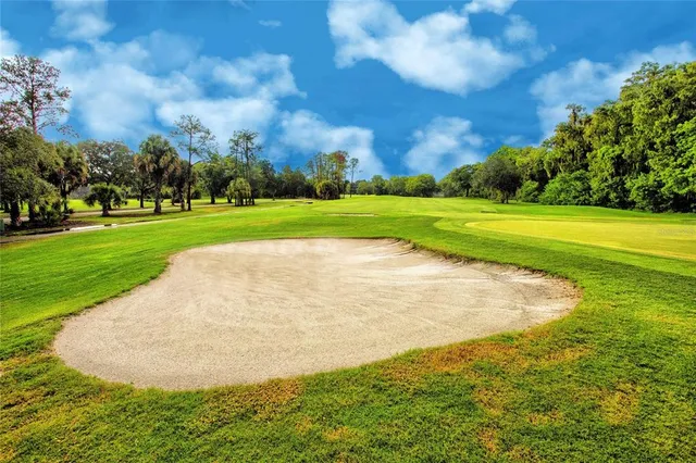 $1,795 | 209 Cypress Court, Unit 209, Oldsmar, FL 34677