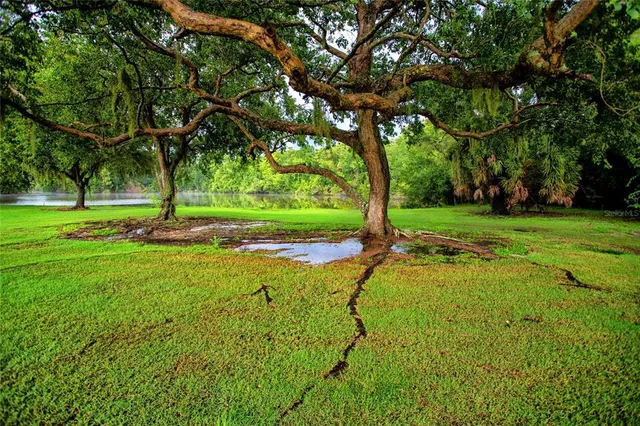 $1,795 | 209 Cypress Court, Unit 209, Oldsmar, FL 34677