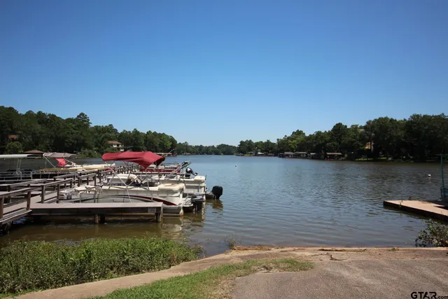 a view of a lake with boats and trees in the background