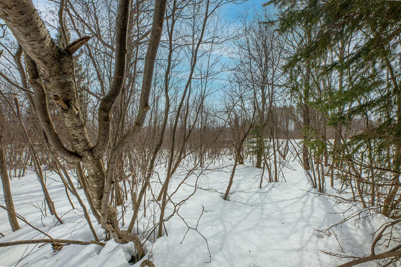 Off Dunham Road Wakefield, MI 49968 - Photo 25 of 26 Gallery Image 25