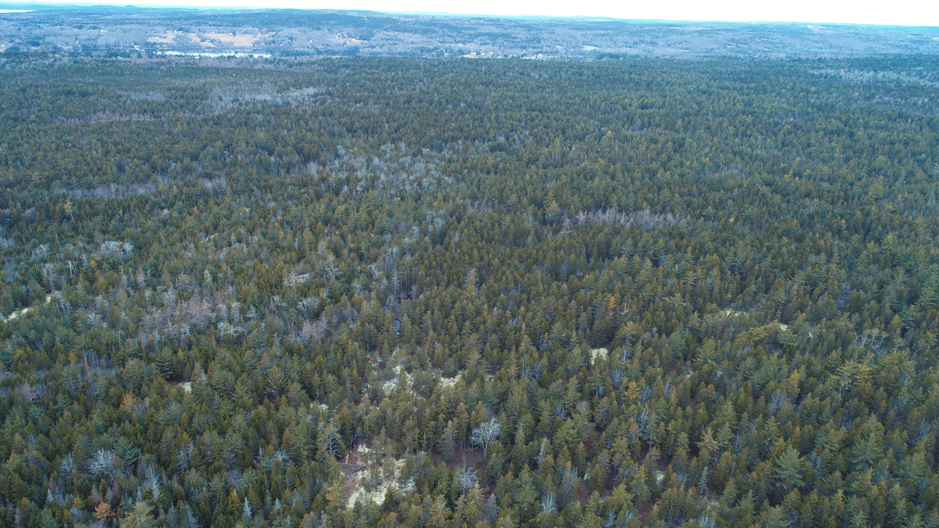 Off Folly Road Brooklin, ME 04616 - Photo 7 of 28 DJI_0006
