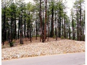 8 High Valley Ranch Road Prescott, AZ 86303 - Photo 3 of 4 Additional Photo