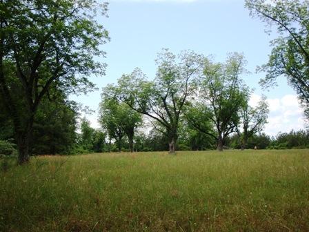0 Cleveland Road Fort Valley, GA 31030 - Photo 1 of 1 Main View