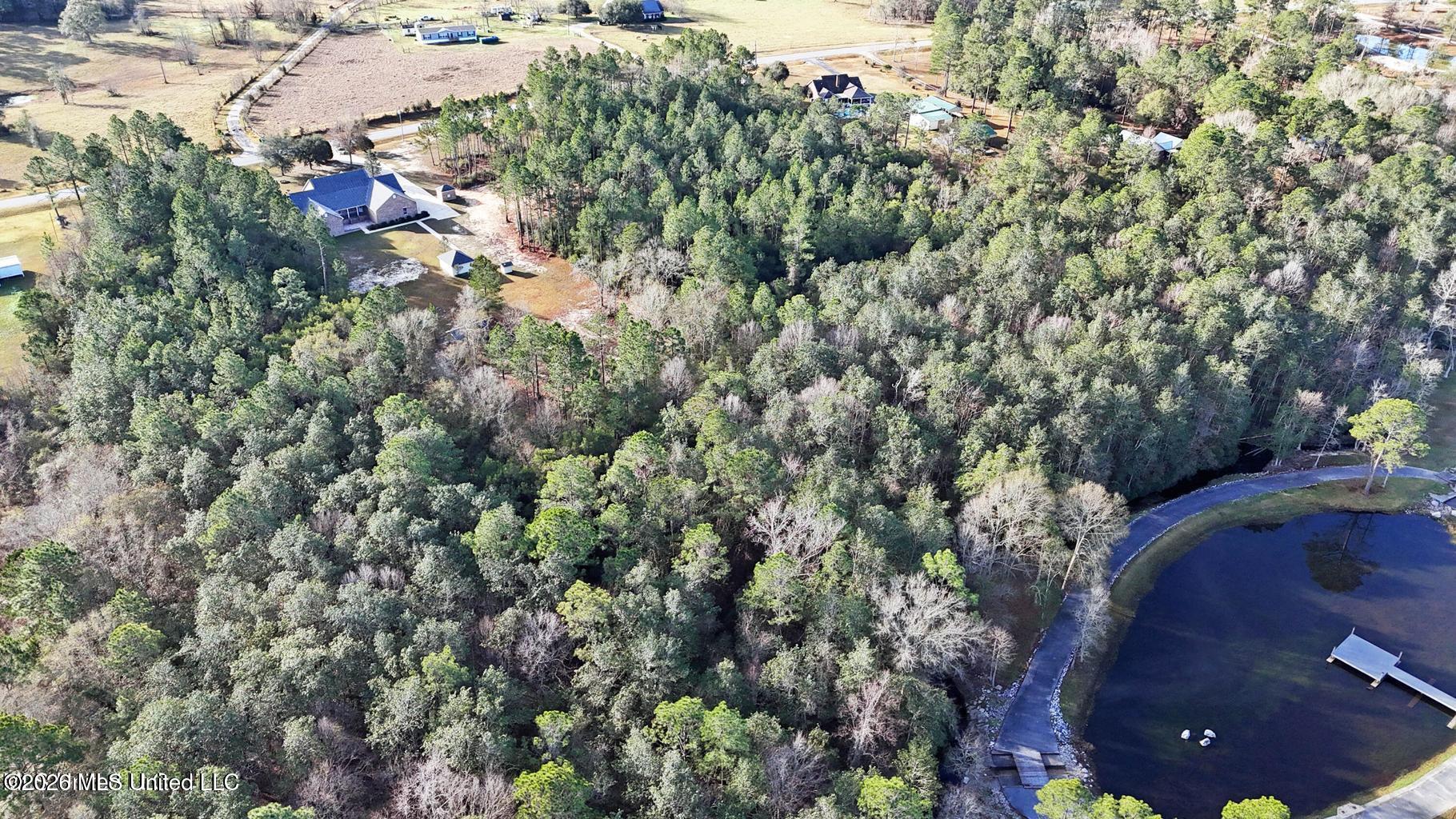 13125 Seaman Road Vancleave, MS 39565 - Photo 3 of 134 20260116203229959836000000-o