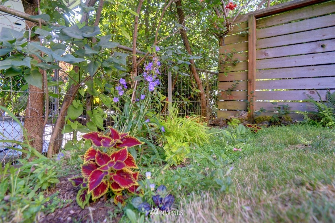 902 North 76th Street Seattle, WA 98103 - Photo 27 of 28