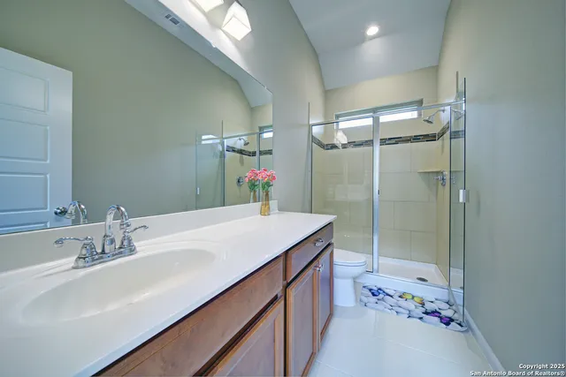 a view of potted plant in front of a window