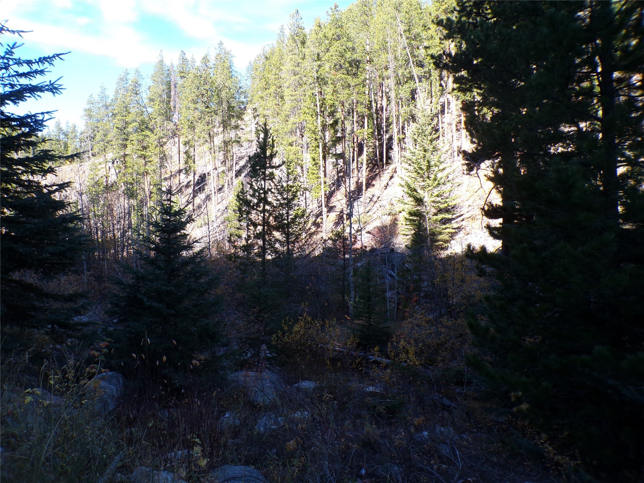 Tbd Carpenter Creek Road Neihart, MT 59465 - Photo 3 of 10 Gallery Image 3