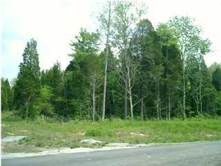 114 Lakefront Road Leitchfield, KY 42754 - Photo 1 of 1 Primary Photo