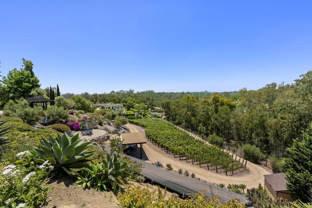 5293 La Glorieta Rancho Santa Fe, CA 92067 - Photo 19 of 25 a view of a city with lush green forest