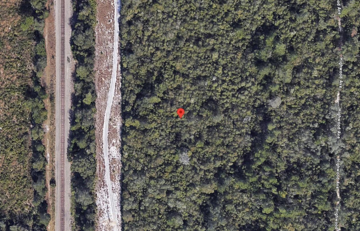 0 Riegel Paper Orange City, FL 32763 - Photo 3 of 9 Photo 3