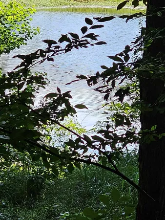 $6,500 | Lot21 F Lakeshore Drive, Waverly Hall, GA 31831