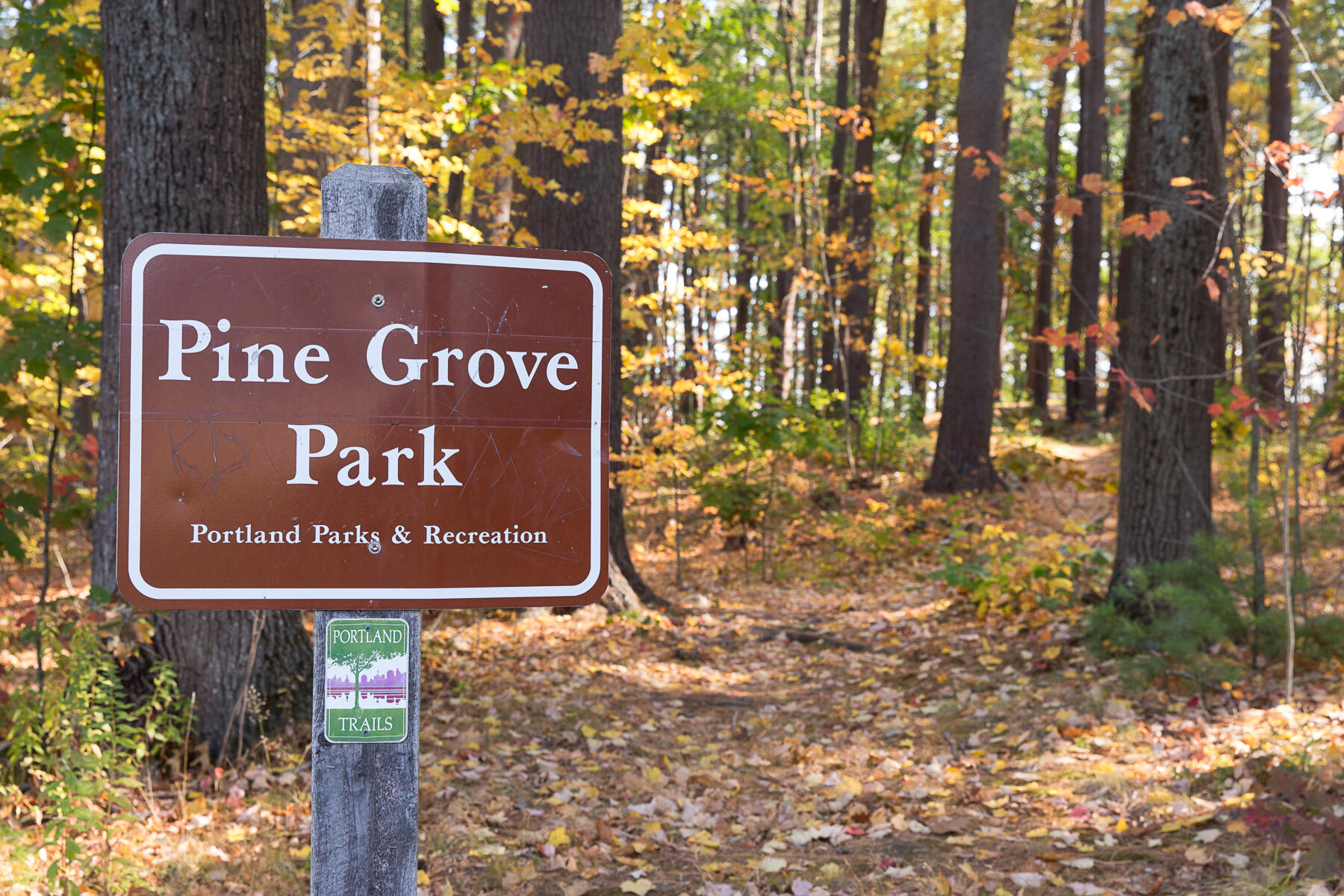 48 Pennell Avenue Portland, ME 04103 - Photo 38 of 62 Pine Grove Park