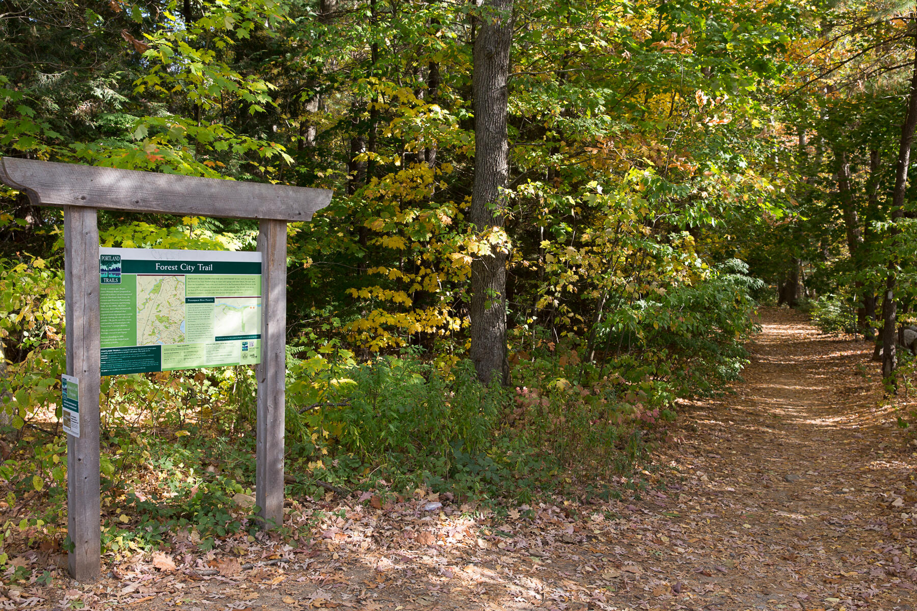 48 Pennell Avenue Portland, ME 04103 - Photo 39 of 62 Forest City Trail