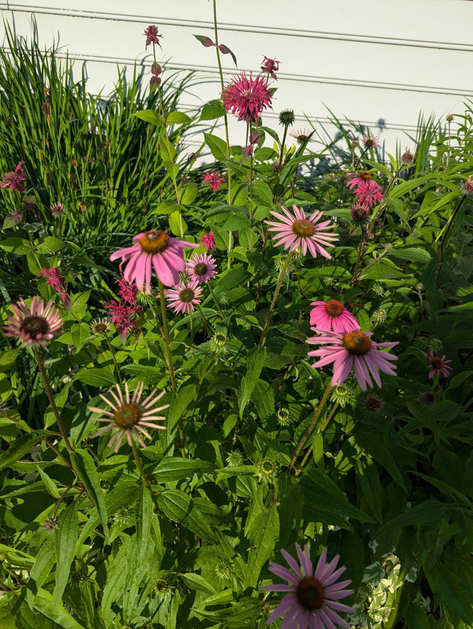 48 Pennell Avenue Portland, ME 04103 - Photo 59 of 62 1000002581 (1)