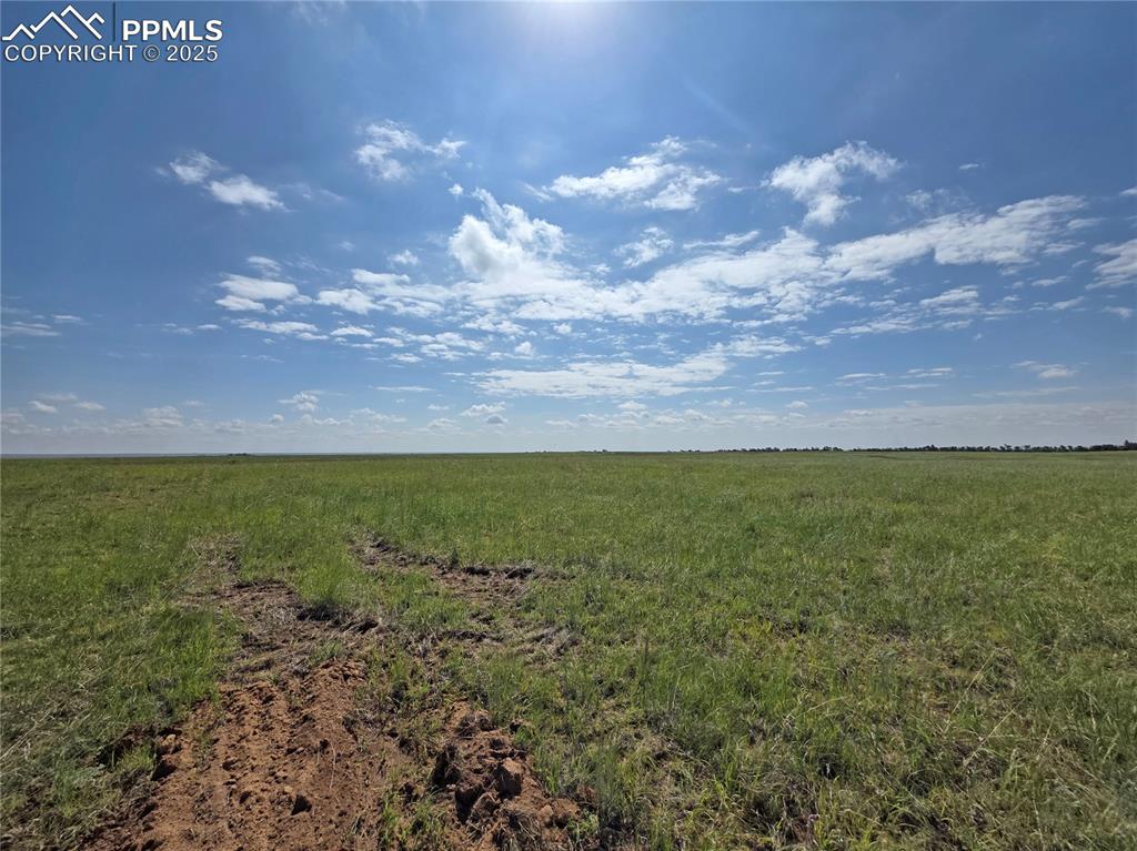 6815 Ramah Highway Yoder, CO 80864 - Photo 27 of 39 a view of a field