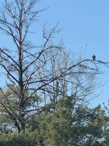 $374,900 | 25-acres Sawmill Road, Stevens Point, WI 54481