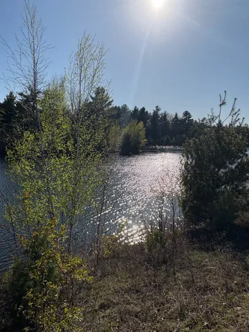 $374,900 | 25-acres Sawmill Road, Stevens Point, WI 54481