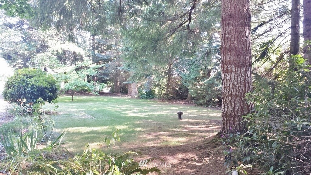 186 Vista Road Chehalis, WA 98532 - Photo 22 of 25 a view of a yard with a tree
