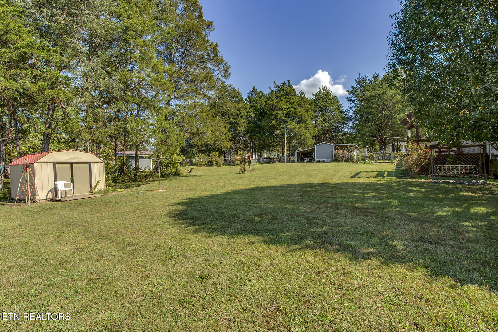 118 Cedar Drive Southeast Decatur, TN 37322 - Photo 33 of 36 33_CedarCircle_118_Backyard02