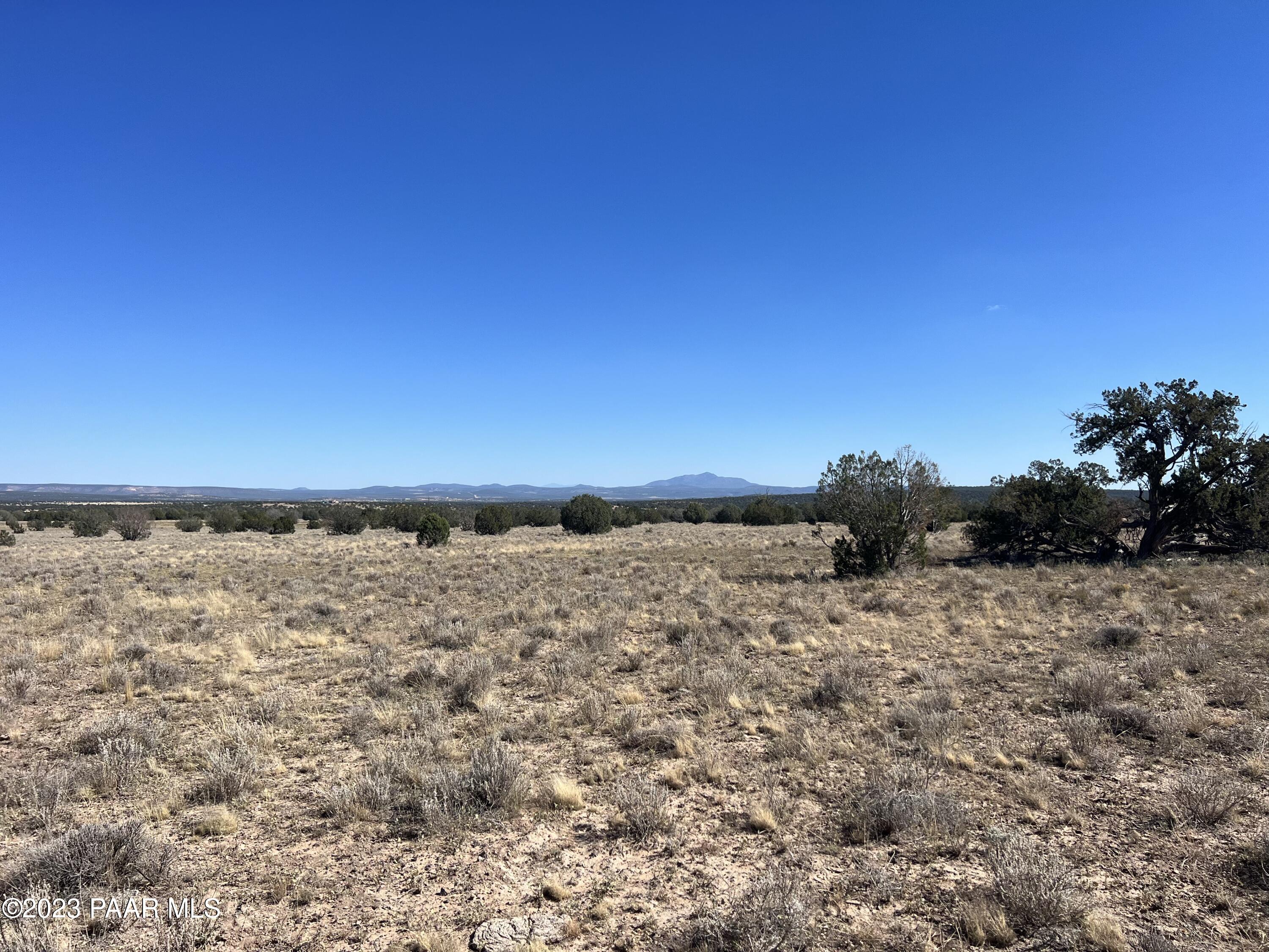 135 Southwest Boars Breath Road Ash Fork, AZ 86320 - Photo 6 of 7 IMG_4221