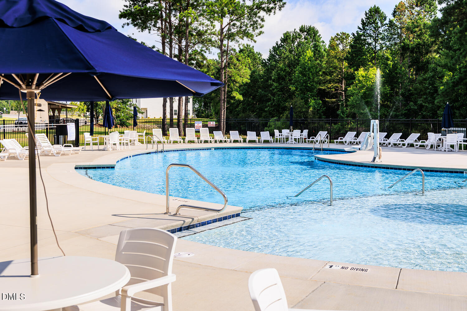 57 Dorado Drive, Unit 195 Angier, NC 27501 - Photo 21 of 47 Powell Pool